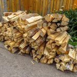 Ash Logs: The Eco-Friendly Choice for Cozy Winter Nights