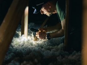 Importance of Having a Crawl Space Encapsulated